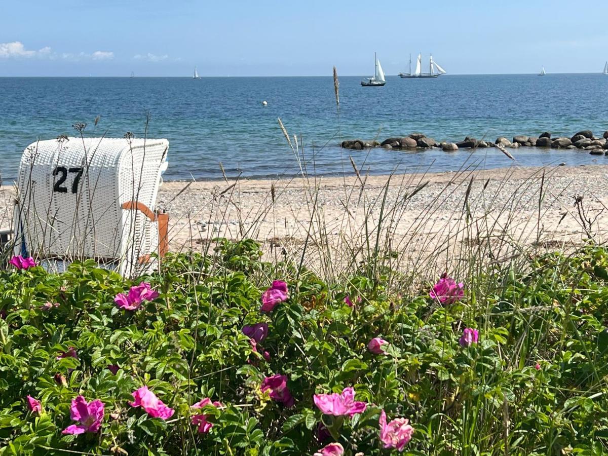 Seelund - Meeresrauschen Lauschen - Ruhiges Sonniges Apartment Mit Garten Und Terrasse Nahe Strand Und Ostsee Schonhagen  Luaran gambar